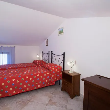 Papa Giuseppe 哥尔顿