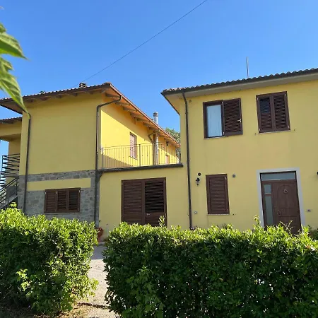 Papa Giuseppe 哥尔顿