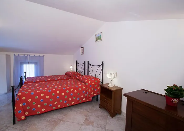 Papa Giuseppe קורטונה